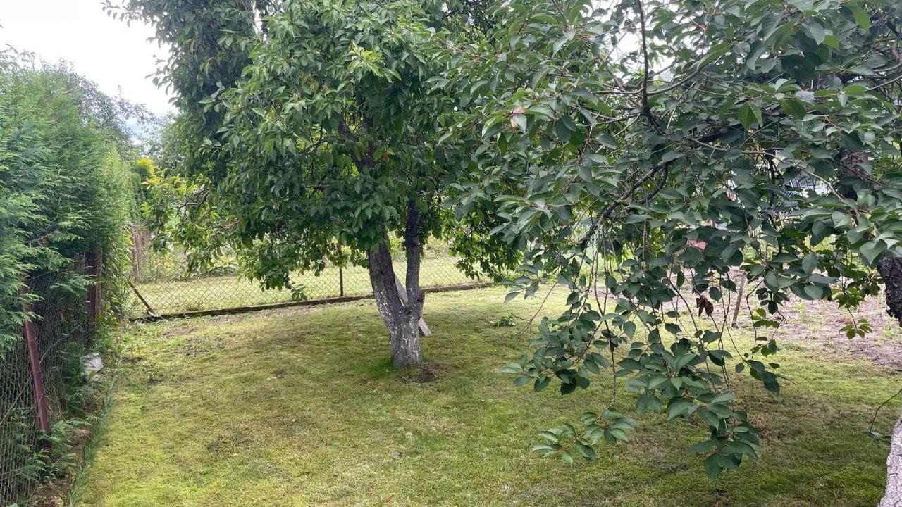 Działka rod Sępólno Krajeńskie. Zdjęcie 3