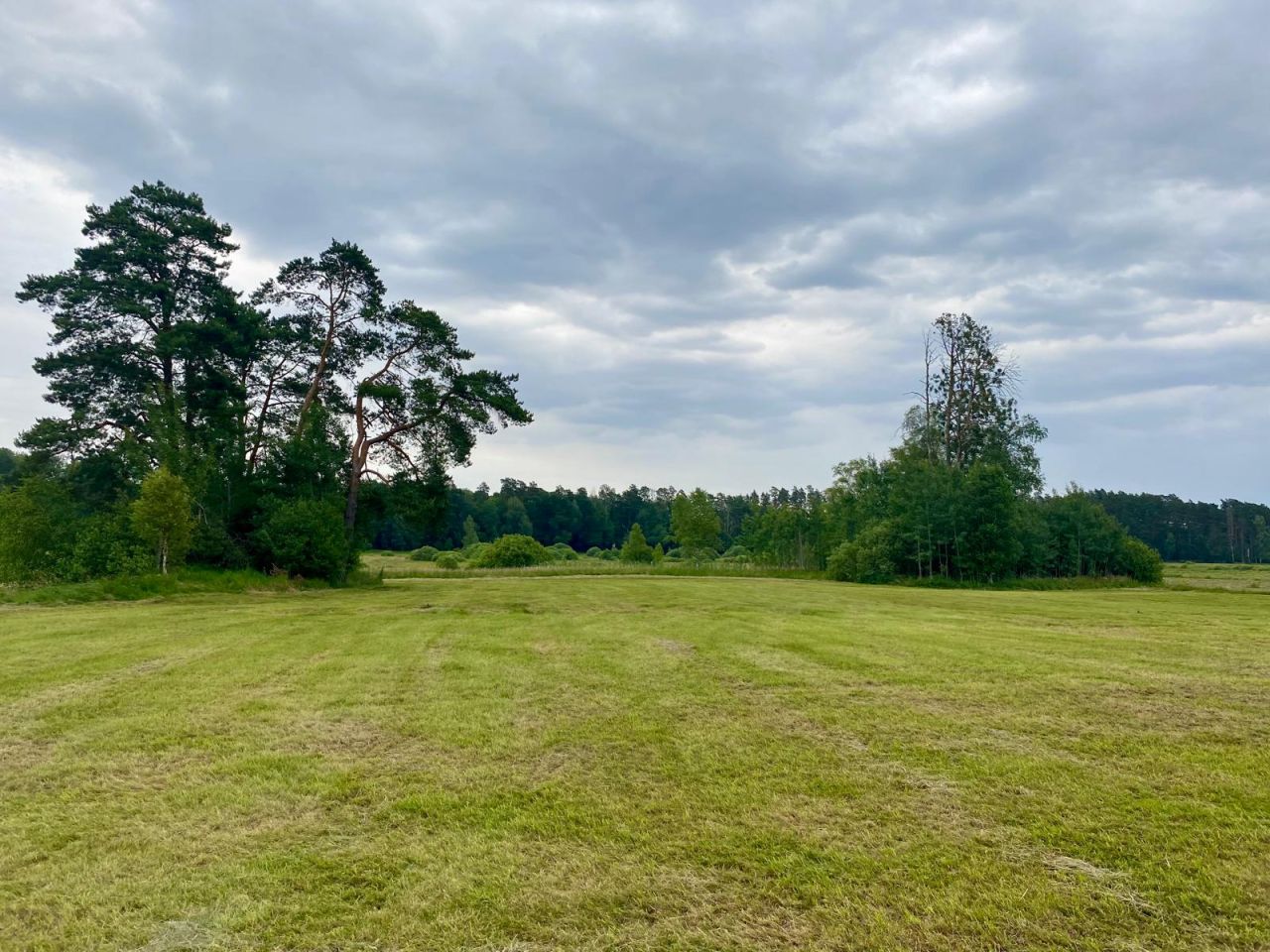 Działka rolna Osieczna. Zdjęcie 4