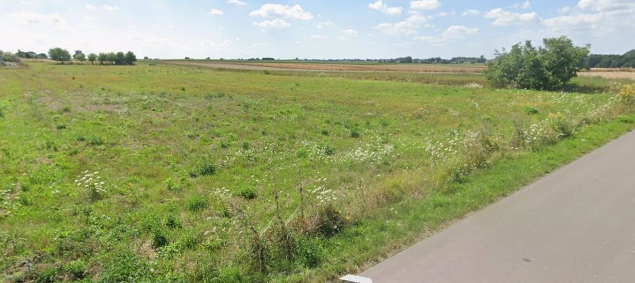 Działka budowlana Panieńszczyzna. Zdjęcie 1