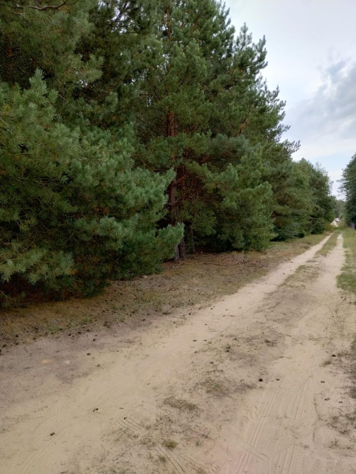 Działka budowlana Adamowo. Zdjęcie 5
