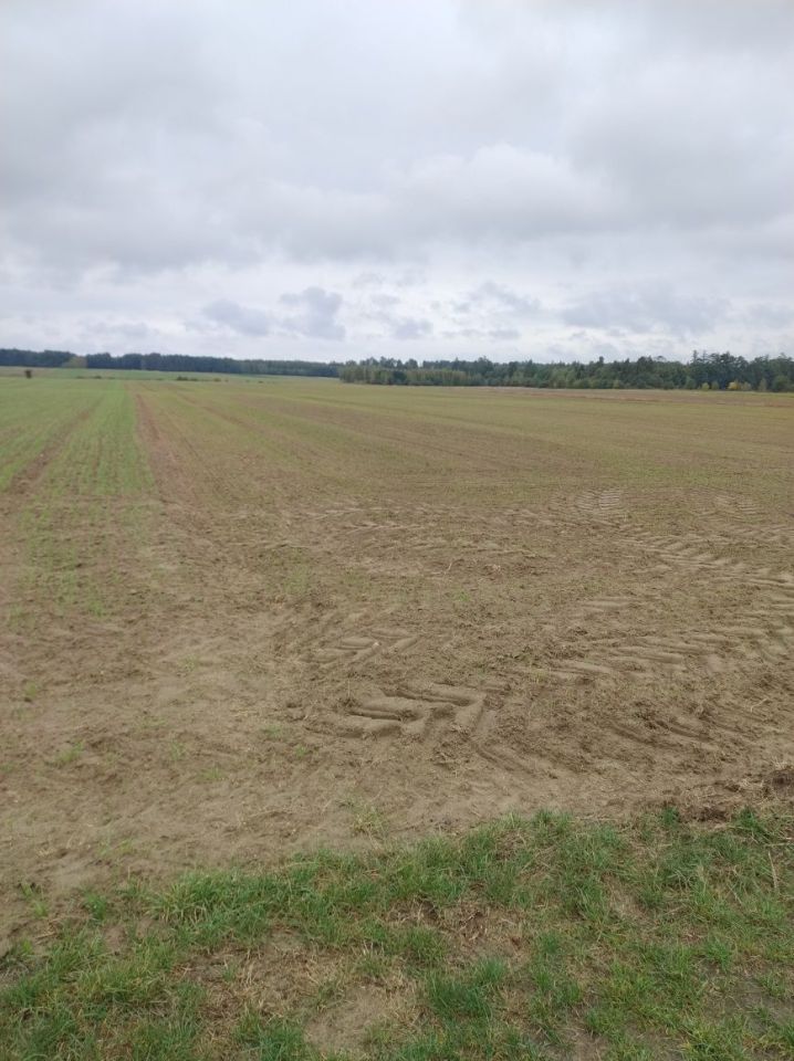 Działka rolna Wierzchowiny. Zdjęcie 3