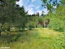 Działka siedliskowa Witowąż. Zdjęcie 1