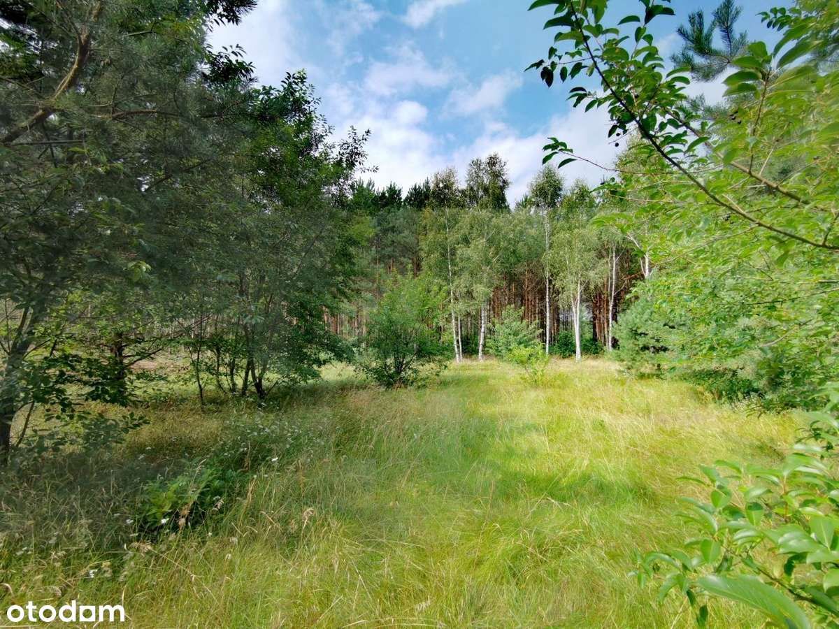 Działka siedliskowa Witowąż. Zdjęcie 2