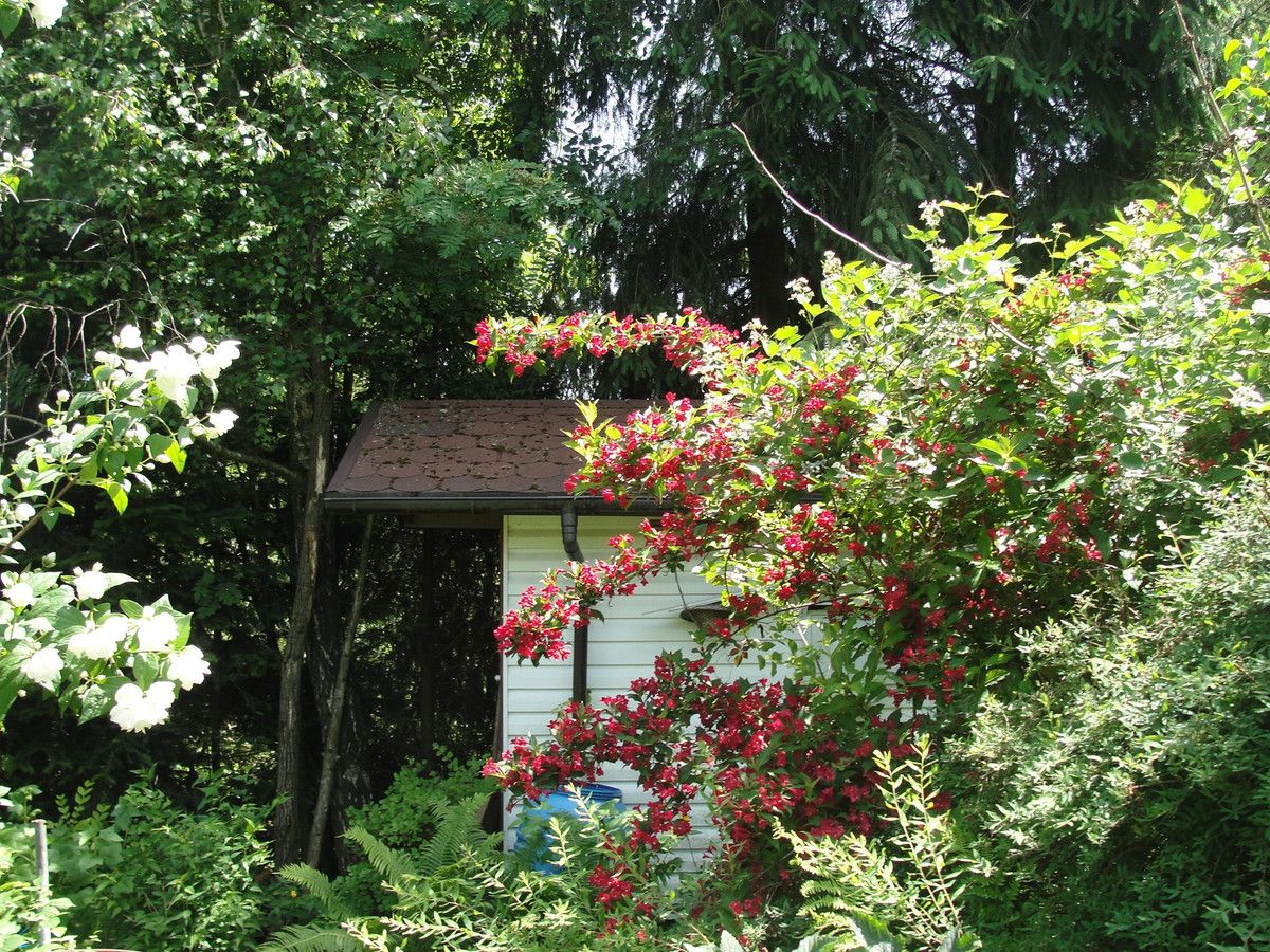 Działka budowlana Klimkówka. Zdjęcie 10