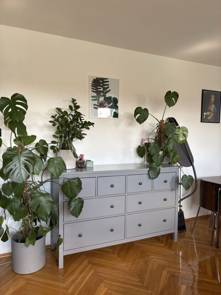 Mieszkanie 3-pokojowe Wałcz, ul. Kościuszki. Zdjęcie 8