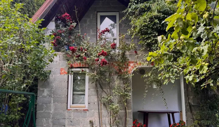 Działka rod Piotrków Trybunalski, ul. Eryka