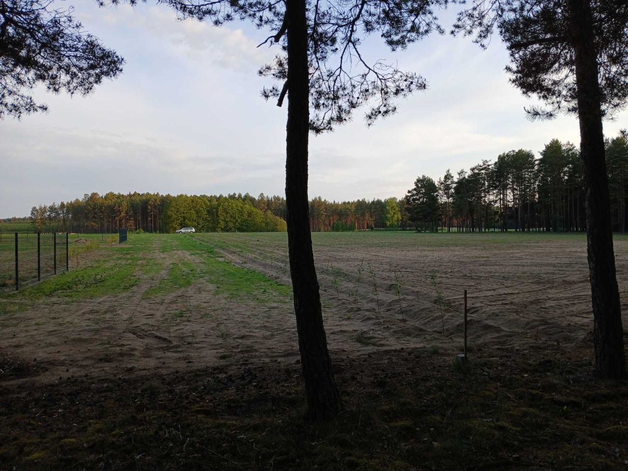 Działka rolno-budowlana Popielewo. Zdjęcie 3