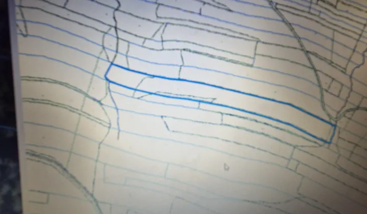 Działka leśna Porąbka Uszewska