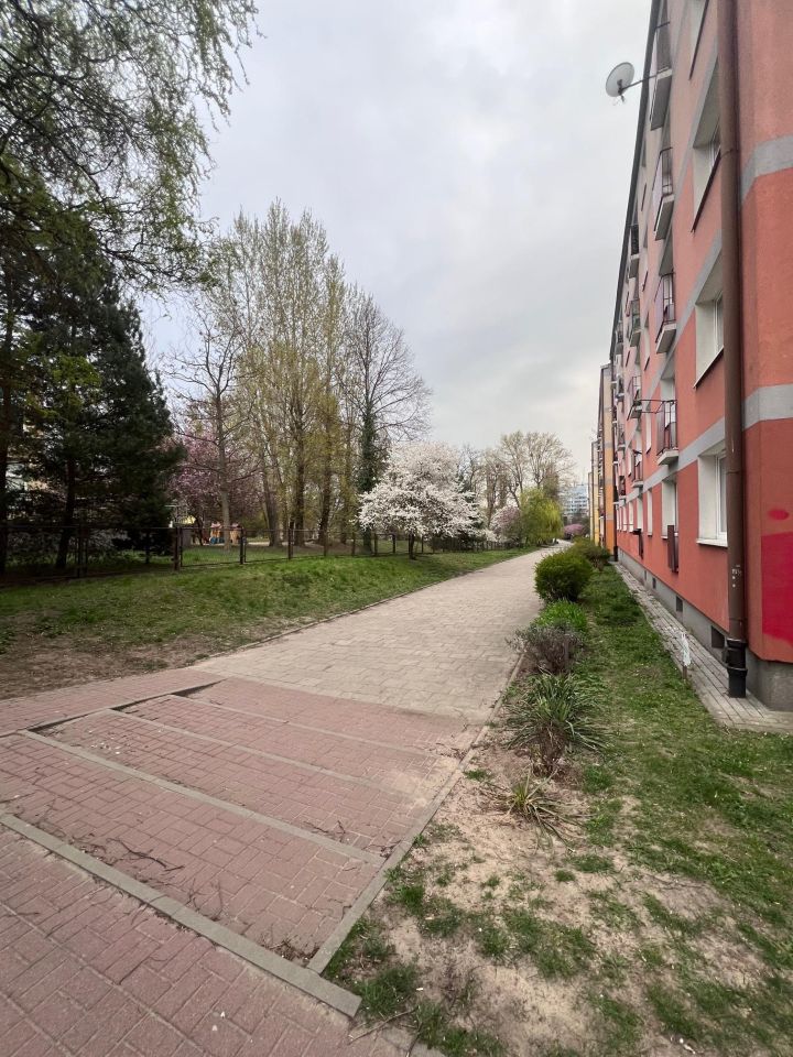 Mieszkanie 1-pokojowe Częstochowa Tysiąclecie, ul. Michałowicza. Zdjęcie 12