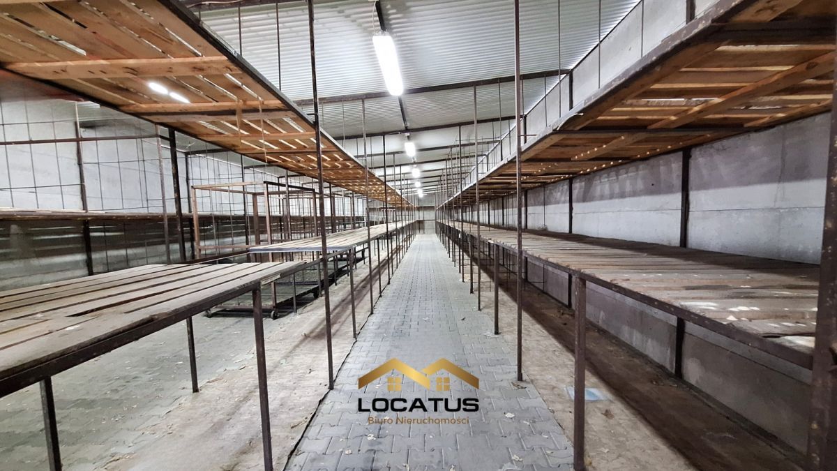 Hala/magazyn Częstochowa, ul. Srebrna. Zdjęcie 12