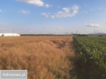 Działka inwestycyjna Małuszów. Zdjęcie 2