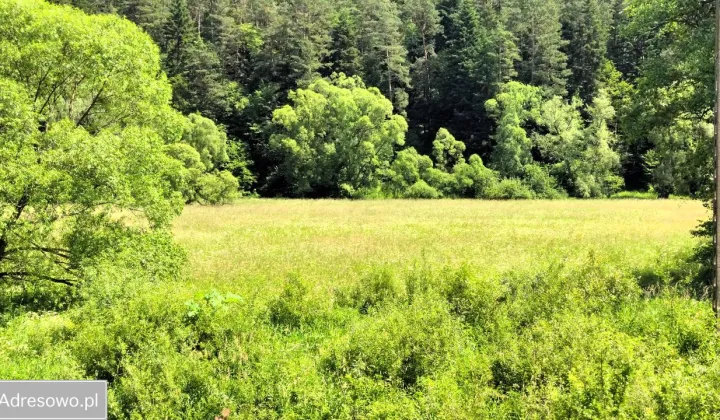 Działka rolna Trzcianiec