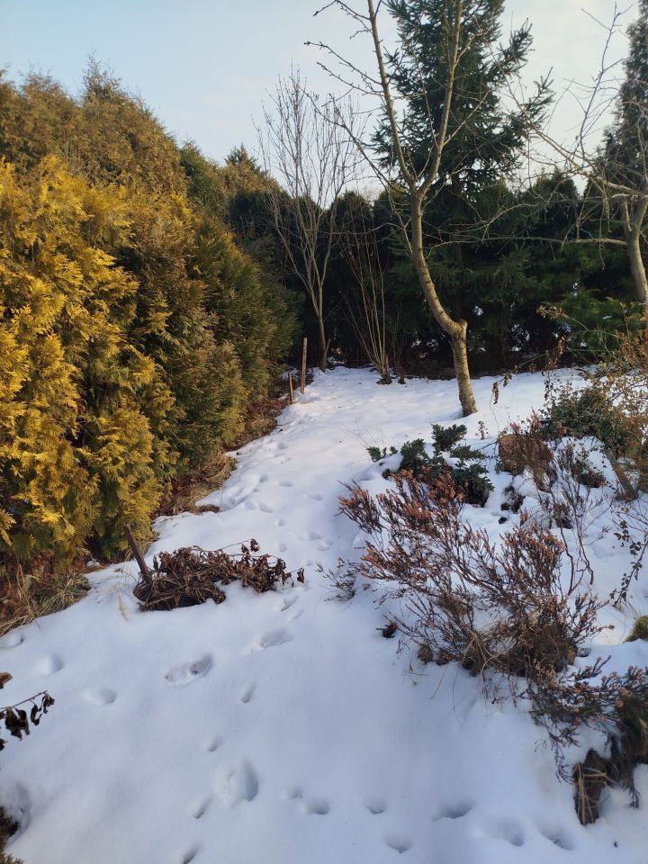 Działka rod Jaworzno Niedzieliska. Zdjęcie 6