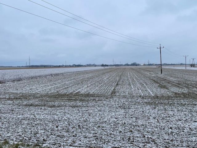 Działka inwestycyjna Gołuski. Zdjęcie 1