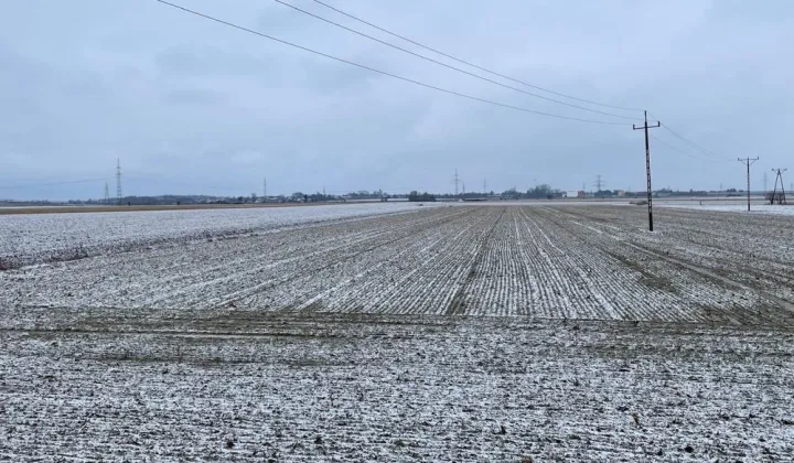 Działka inwestycyjna Gołuski