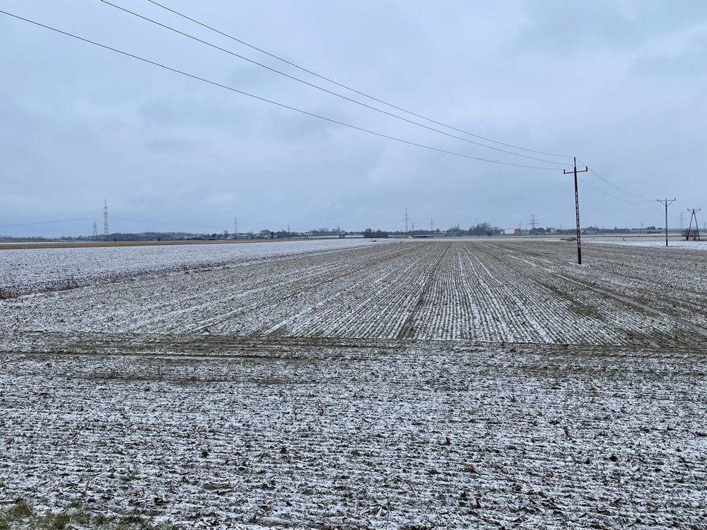 Działka inwestycyjna Gołuski. Zdjęcie 1