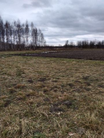 Działka inwestycyjna Knapy, ul. Leśna. Zdjęcie 1