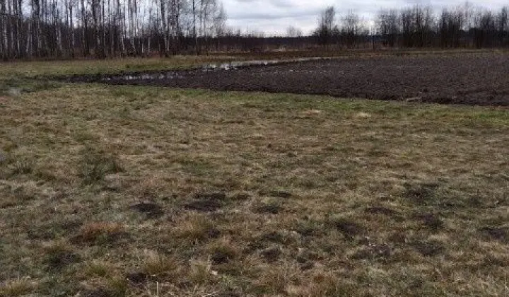 Działka inwestycyjna Knapy, ul. Leśna