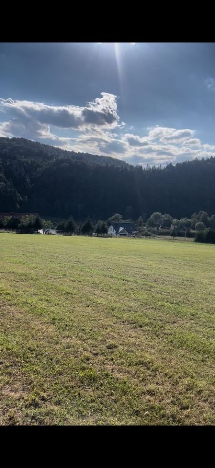 Działka budowlana Muszyna. Zdjęcie 6