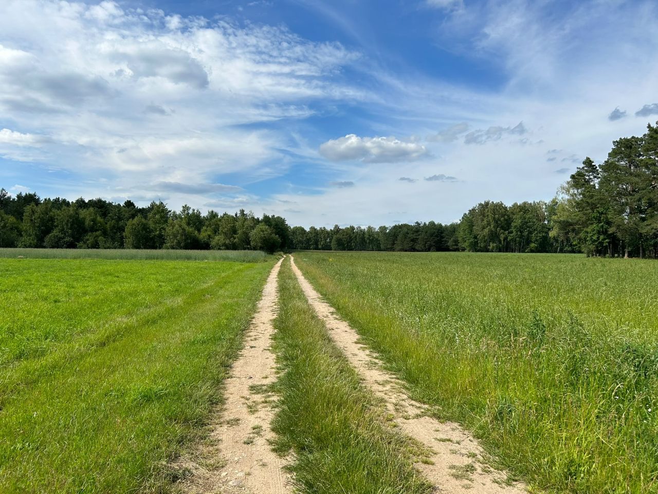 Działka rolno-budowlana Prusocin, droga gminna - działka nr 9. Zdjęcie 13