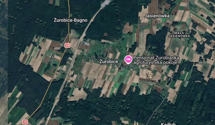 Działka leśna Żurobice
