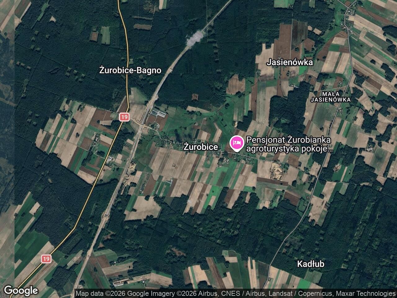 Działka leśna Żurobice. Zdjęcie 1