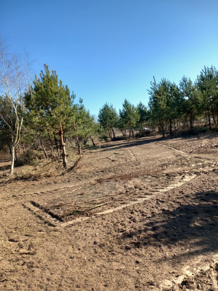 Działka rolno-budowlana Gucin. Zdjęcie 15