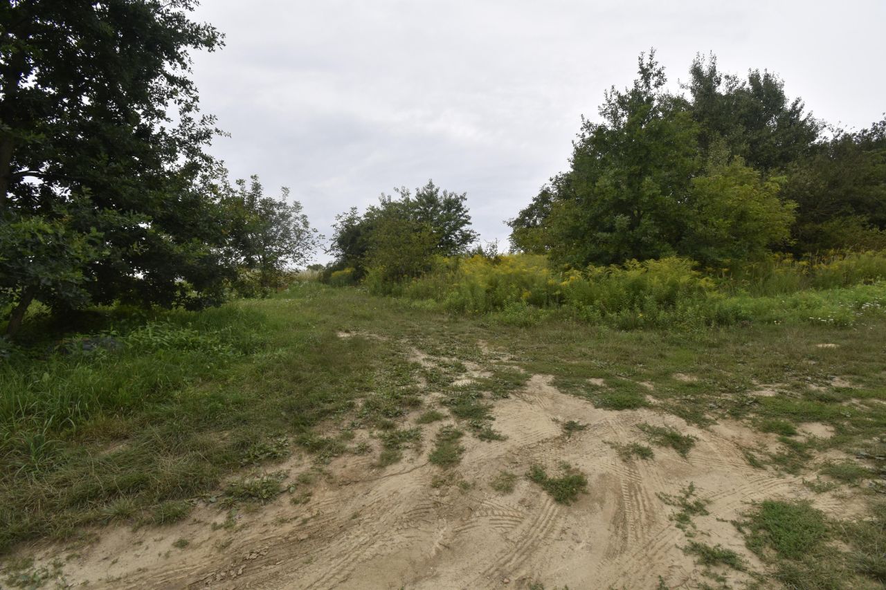 Działka budowlana Szerokie. Zdjęcie 7