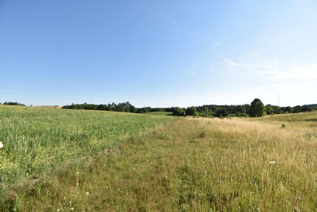 Działka rolno-budowlana Zła Wieś, Klonowa. Zdjęcie 6