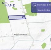 Działka rolna Kopytów-Kolonia. Zdjęcie 3