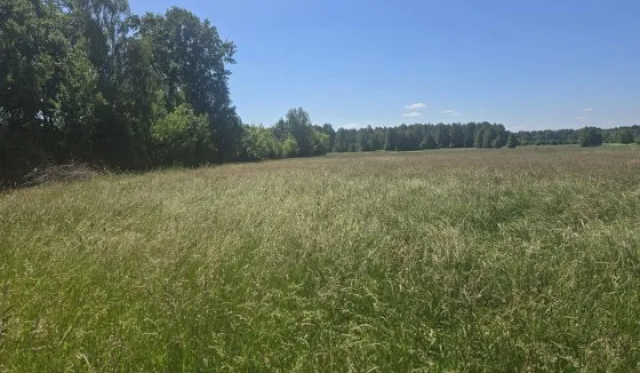 Działka siedliskowa Białki