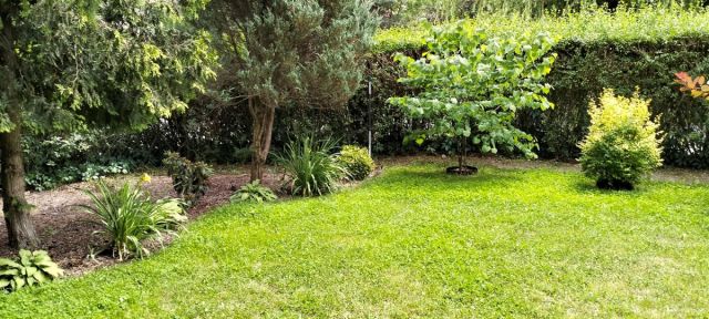 dom wolnostojący, 5 pokoi Łódź Teofilów. Zdjęcie 17