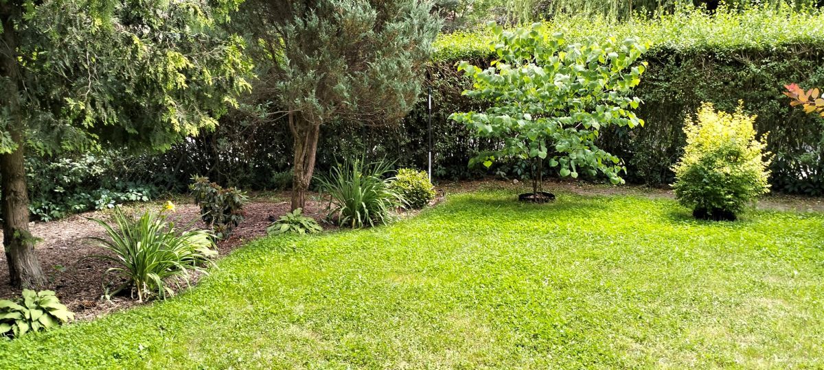 dom wolnostojący, 5 pokoi Łódź Teofilów. Zdjęcie 17