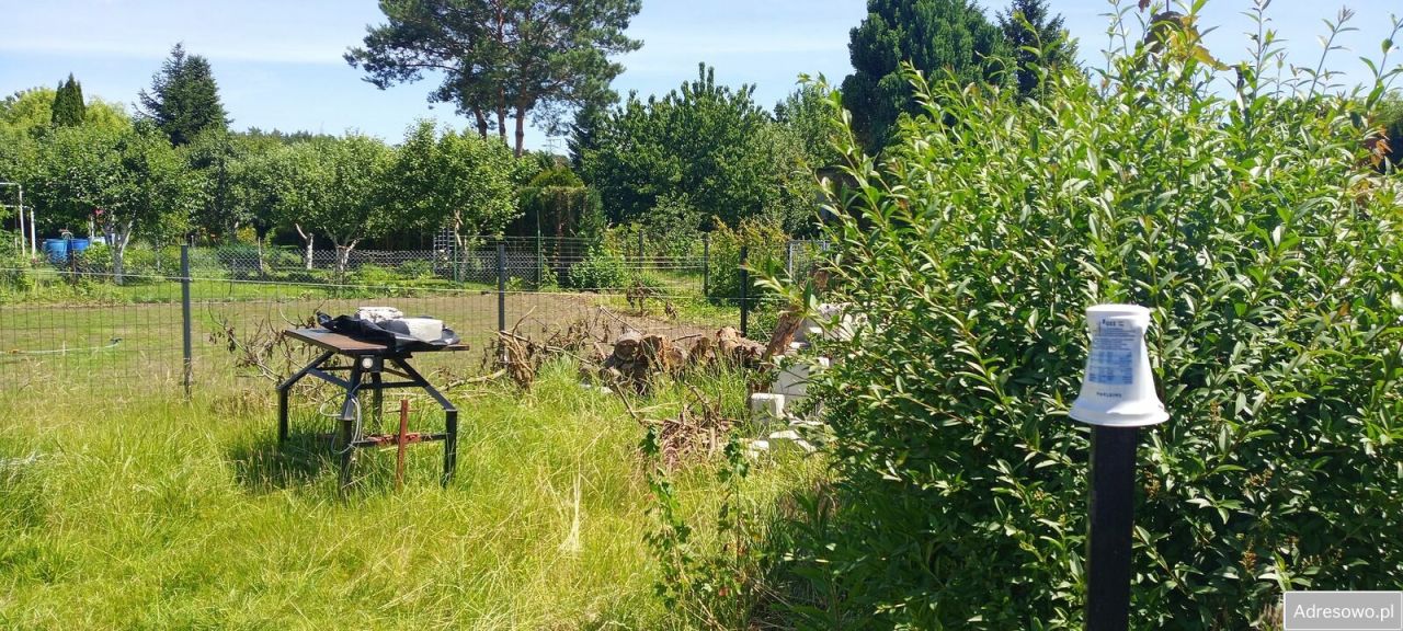 Działka rod Toruń. Zdjęcie 3