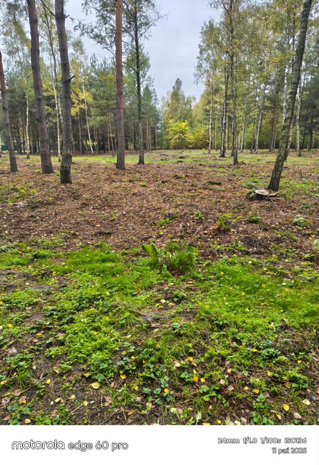 Działka budowlana Tkaczewska Góra. Zdjęcie 3