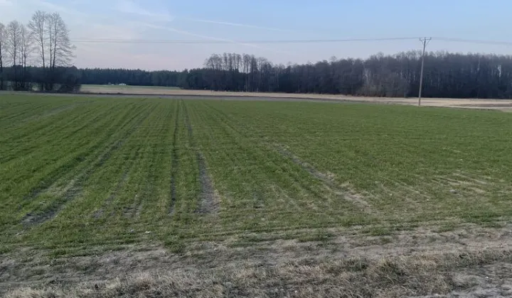 Działka budowlana Niegowiec