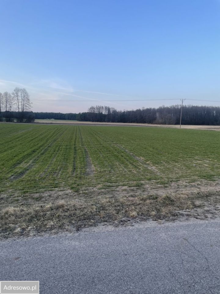 Działka budowlana Niegowiec. Zdjęcie 1