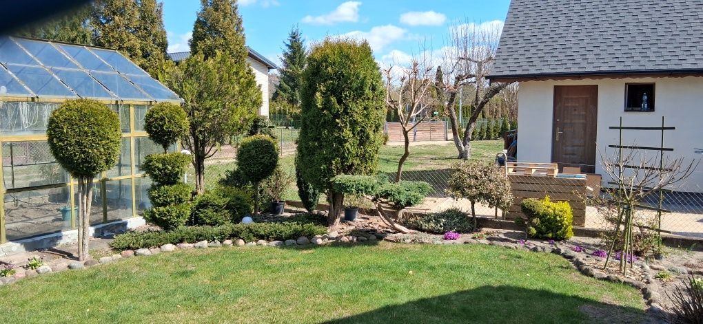 Działka rod Toruń Rudak. Zdjęcie 7