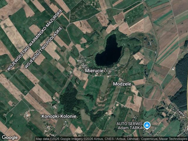 Działka rolna Mierucie. Zdjęcie 1