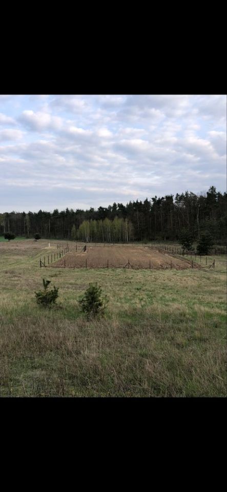 Działka budowlana Oporówek. Zdjęcie 3