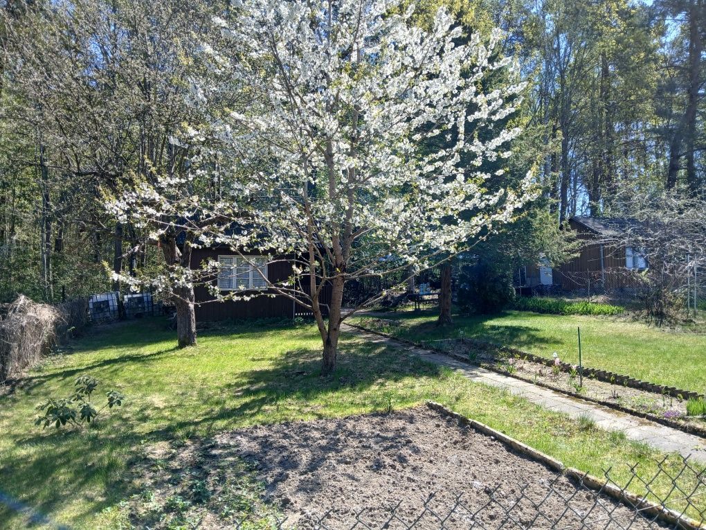 Działka rod Stary Olsztyn. Zdjęcie 5