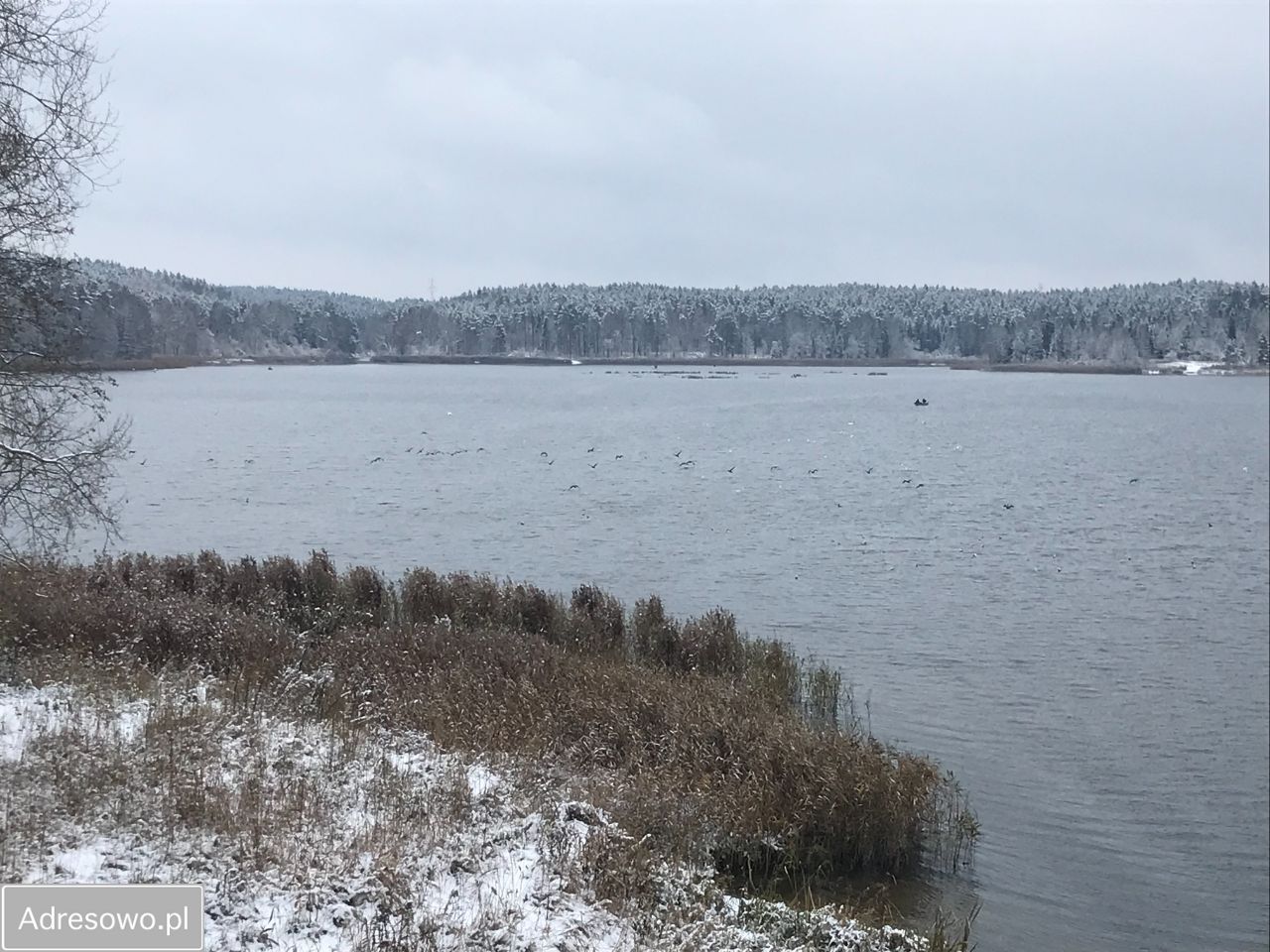 dom wolnostojący, 6 pokoi Brąswałd. Zdjęcie 13