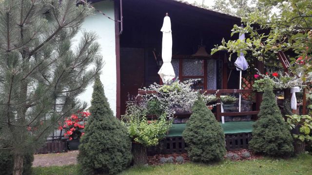 Działka rekreacyjna Słowik, ul. Gdańska. Zdjęcie 1