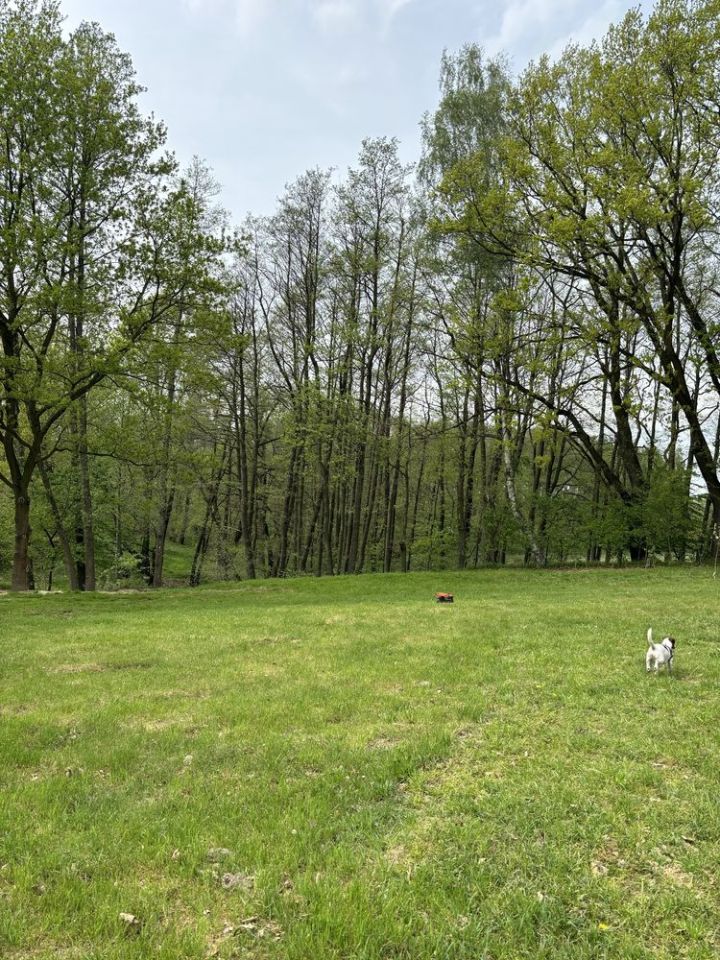 Działka budowlana Wodzisław Śląski Kokoszyce, ul. Oraczy. Zdjęcie 6