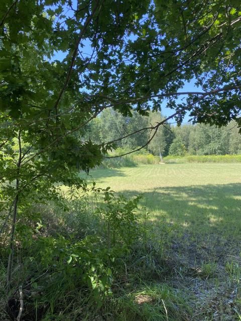 Działka budowlana Milanówek Turczynek