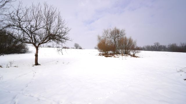 dom wolnostojący, 2 pokoje Krużlowa Wyżna. Zdjęcie 9