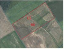 Działka rolna Niedanowo. Zdjęcie 2