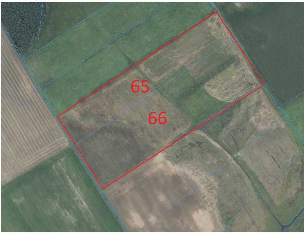 Działka rolna Niedanowo. Zdjęcie 3