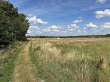 Działka rolno-budowlana Chwalęcice. Zdjęcie 2