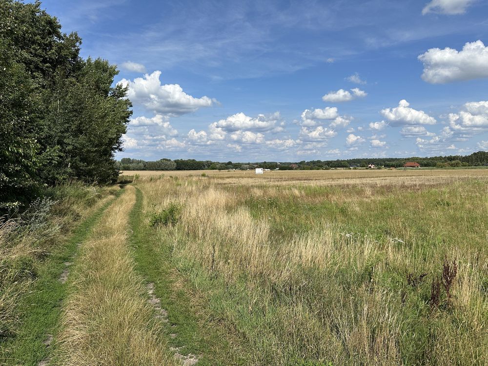 Działka rolno-budowlana Chwalęcice. Zdjęcie 3